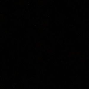 Meet your Posher, Loni